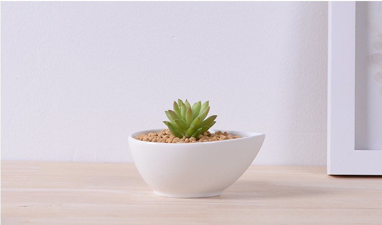 Adornment Characteristic Personality Desktop Small White Flowers Pot