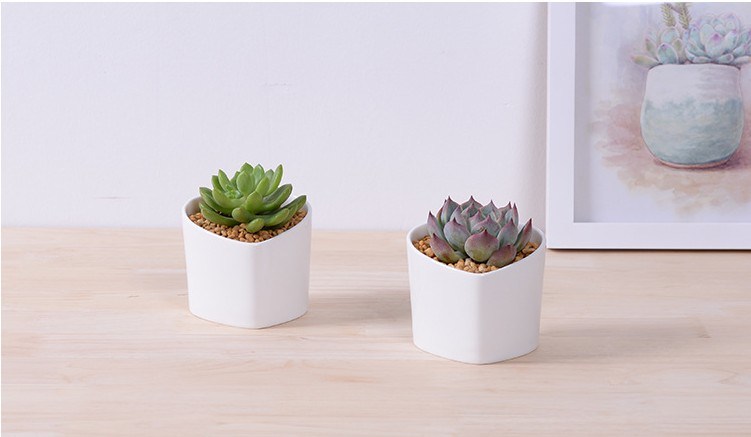 Decorative Features Peach Shape Heart-Shaped White Flower Pot