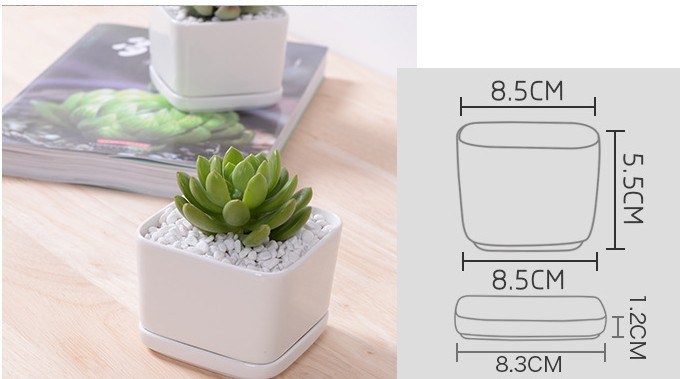 Square White Flower Pot Containing Base