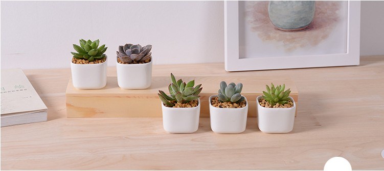 5 Lattice Box with White Ceramic Flower Pot