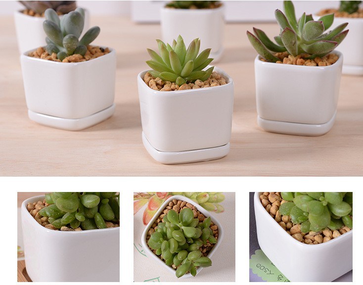 Personality Fashion Ceramic White Porcelain Base Flowerpot