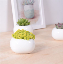 Mini Desktop Mini Ceramic Flowerpot