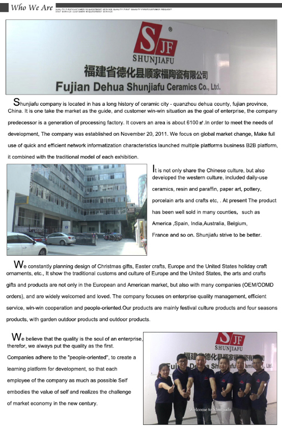 Home Decoration Ceramic Flower Pot with Different Color