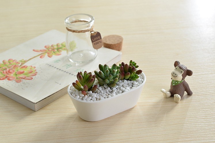 Coffee Table Desk Type Ceramic Flowerpot White Goose