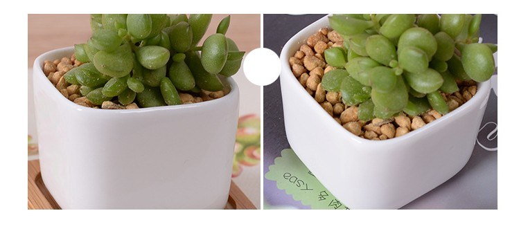 Creative Desktop Decoration Mini White Ceramic Flower Pot