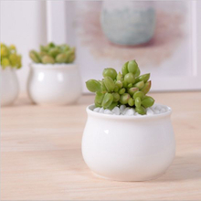 Creative Desktop Decoration Mini White Round Ceramic Flower Pot