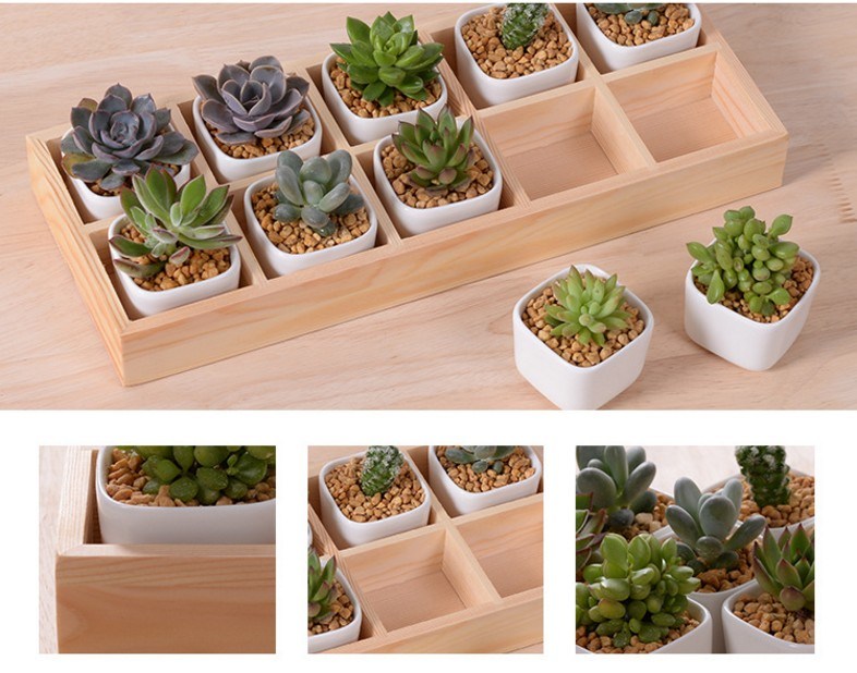 Leisure Desk with 5 Lattice Base Ceramic Pots