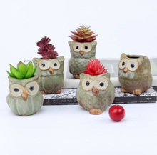 Wholesale Mini Ceramic Owl Flower Pot for Succulent Plant