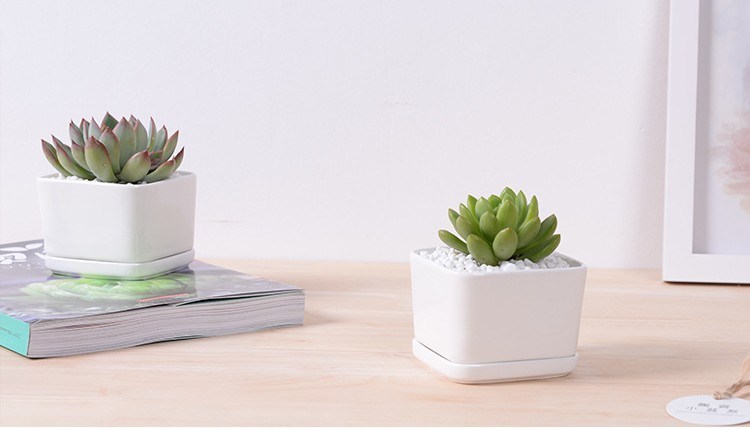 Square White Flower Pot Containing Base