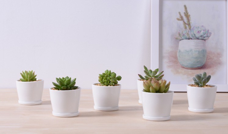 Leisure Desk Small Round Ceramic Small Flower Vase