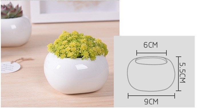 Mini Desktop Mini Ceramic Flowerpot