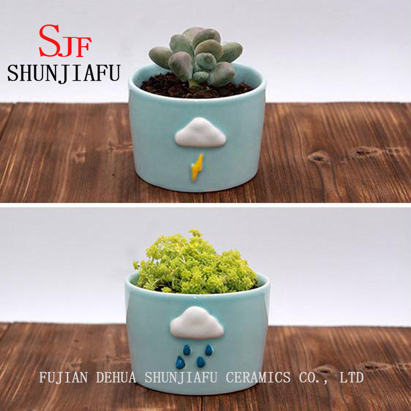 Ceramic Flowerpot for Small Cactus Succulent Plants (Rainbow)