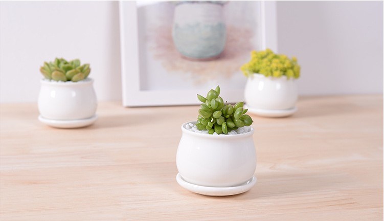 Factory Direct White Small Flower Pot with Different Size
