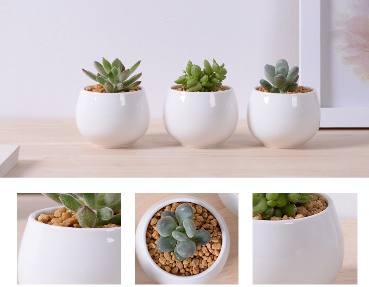 Creative Miniature Square White Ceramic Flowerpot