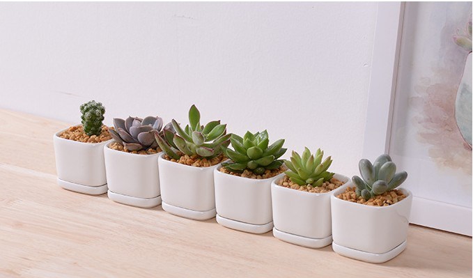 Personality Fashion Ceramic White Porcelain Base Flowerpot