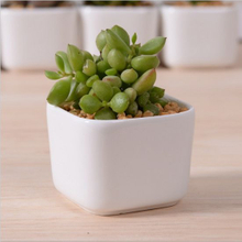 Creative Desktop Decoration Mini White Ceramic Flower Pot