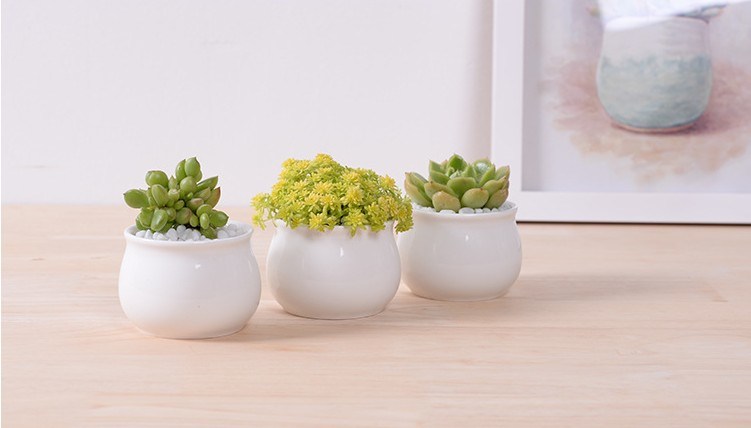 Creative Desktop Decoration Mini White Round Ceramic Flower Pot