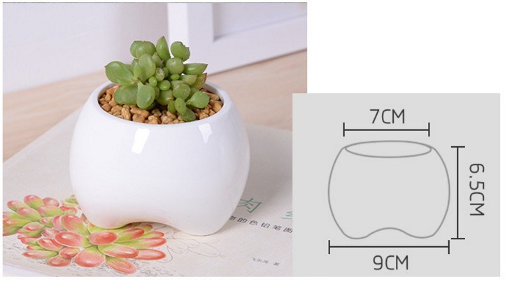 Ceramic Ivory Small Tooth Shaped White Flowerpot