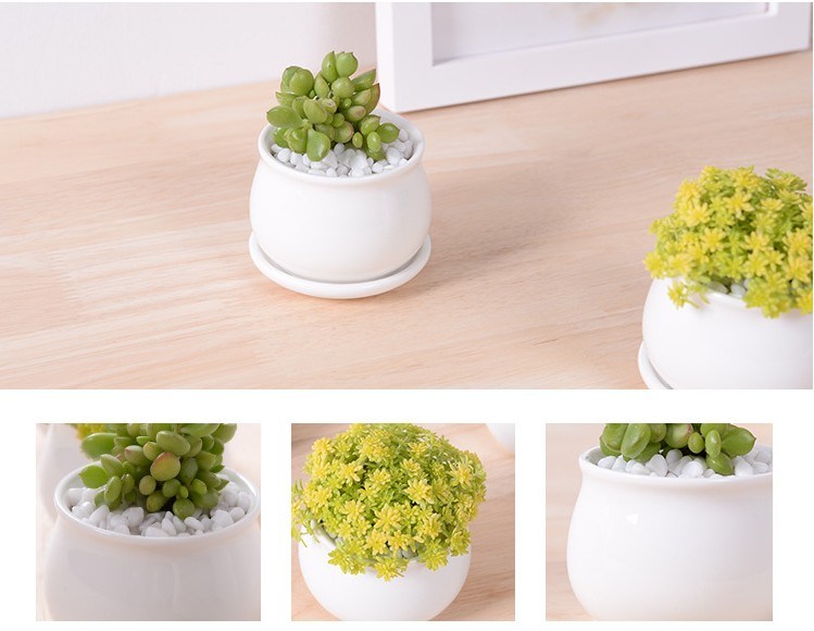 Leisure Desk with 5 Lattice Base Ceramic Pots