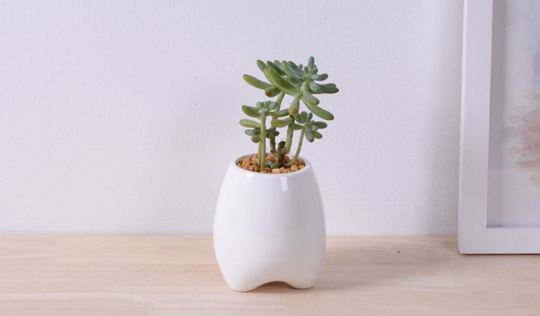 Ivory Creative Personality Fashion Ceramic Flower Pot