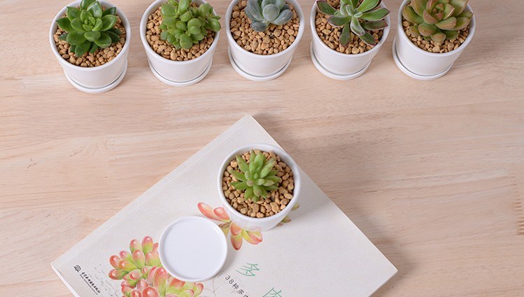 Leisure Desk Small Round Ceramic Small Flower Vase