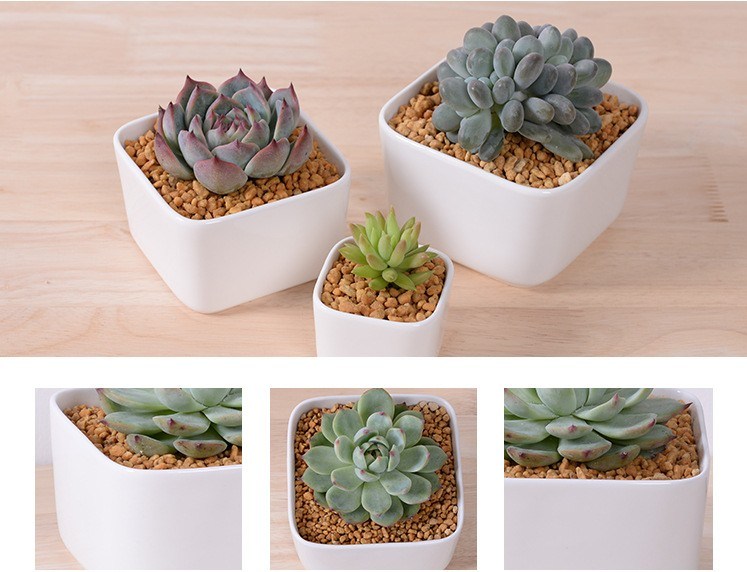 Table Coffee Table Circular Large Ceramic White Flowerpot