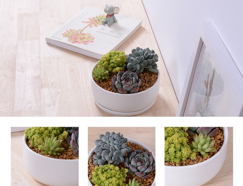 Circular Base with Large White Ceramic Flowerpot