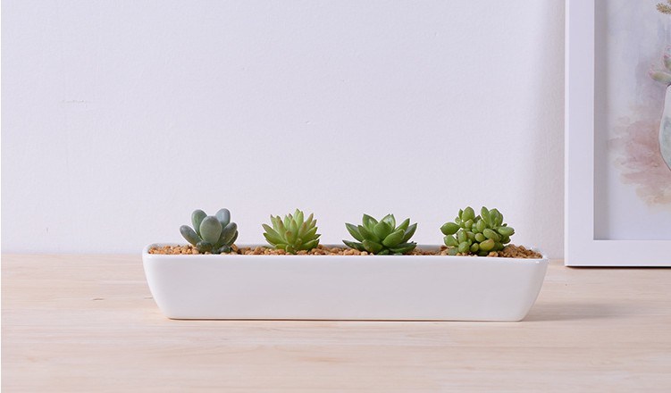 Ceramic Square White Flowerpot