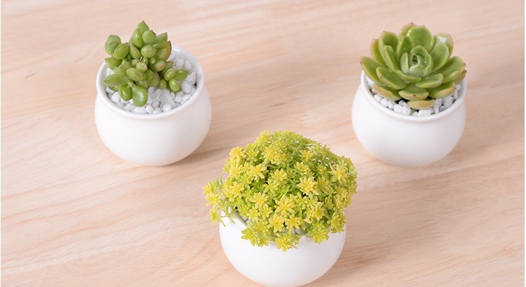 Creative Desktop Decoration Mini White Round Ceramic Flower Pot