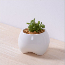 Ceramic Ivory Small Tooth Shaped White Flowerpot