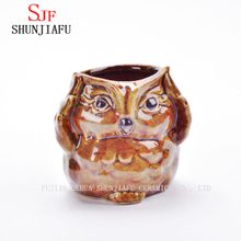5 Design Ceramic Cartoon Owl Planter Porcelain Animal Flowerpot/C
