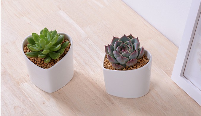 Decorative Features Peach Shape Heart-Shaped White Flower Pot