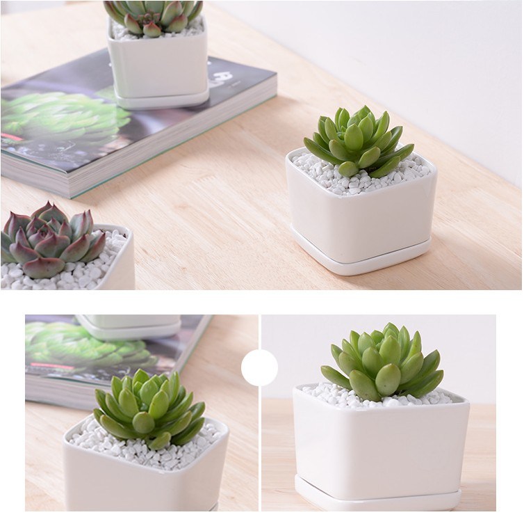 Square White Flower Pot Containing Base
