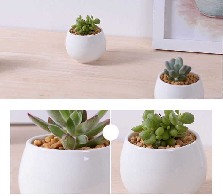 Creative Miniature Square White Ceramic Flowerpot