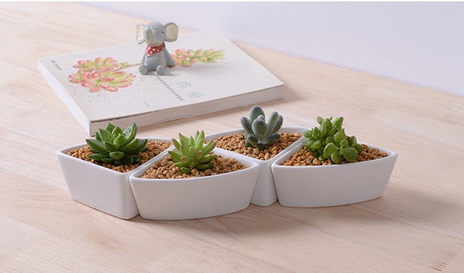 Creative Fashion Ceramic White Square Flowerpot