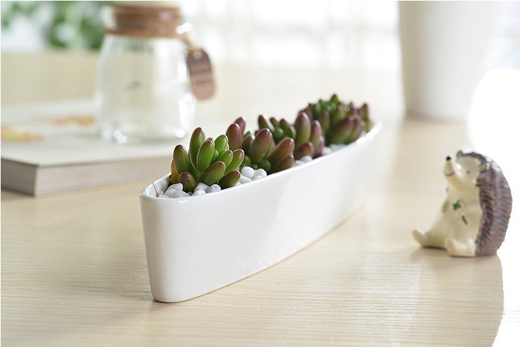 Mini Personalized Ceramic Olive Boat Shaped White Flowerpot