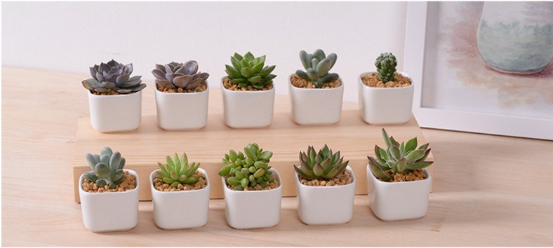 Leisure Desk with 5 Lattice Base Ceramic Pots