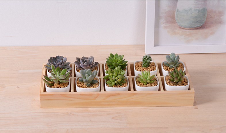 Leisure Desk with 5 Lattice Base Ceramic Pots