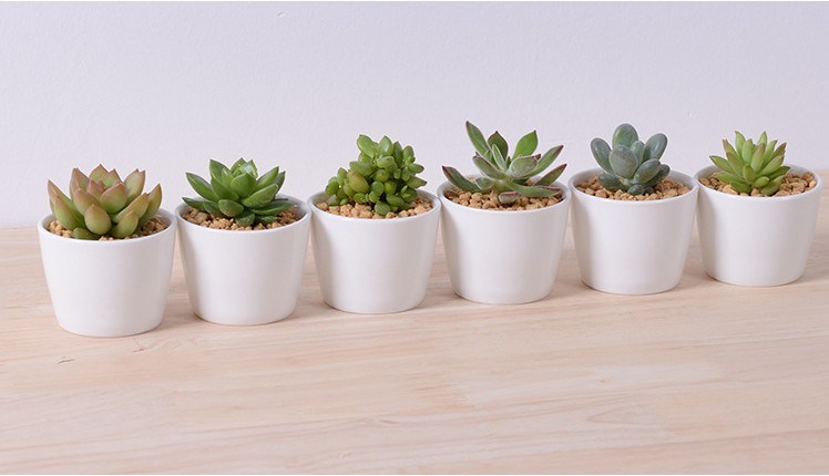 Decorative Features Peach Shape Heart-Shaped White Flower Pot