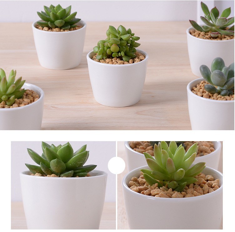 Decorative Mini White Ceramic Flower Pots Round