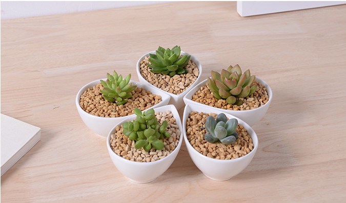 Adornment Characteristic Personality Desktop Small White Flowers Pot