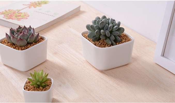 Leisure Desk Small Round Ceramic Small Flower Vase