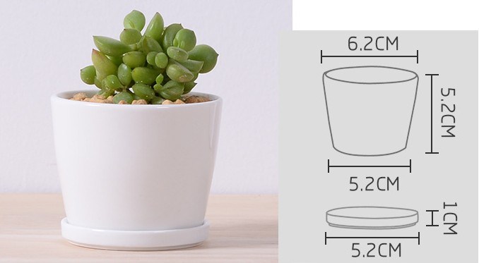 Leisure Desk Small Round Ceramic Small Flower Vase