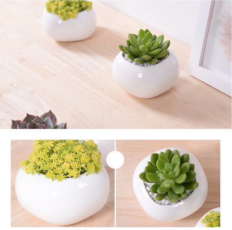Mini Desktop Mini Ceramic Flowerpot