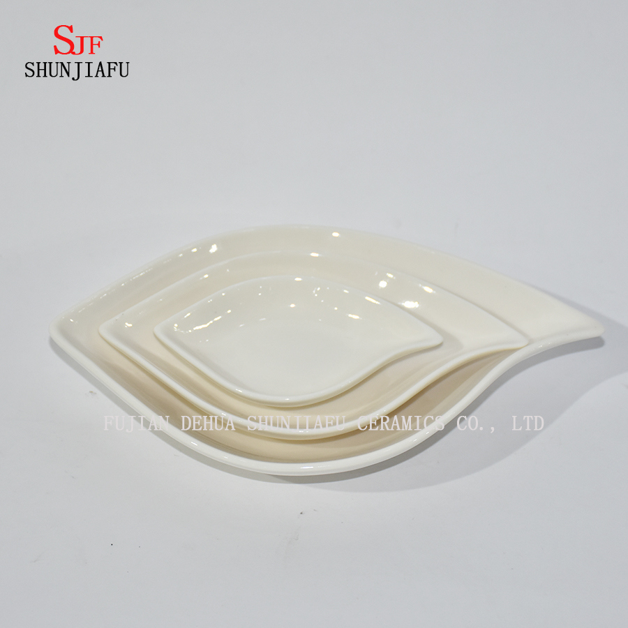 Different Shapes. White Porcelain Dinnerware Service Plate Sauce Dish