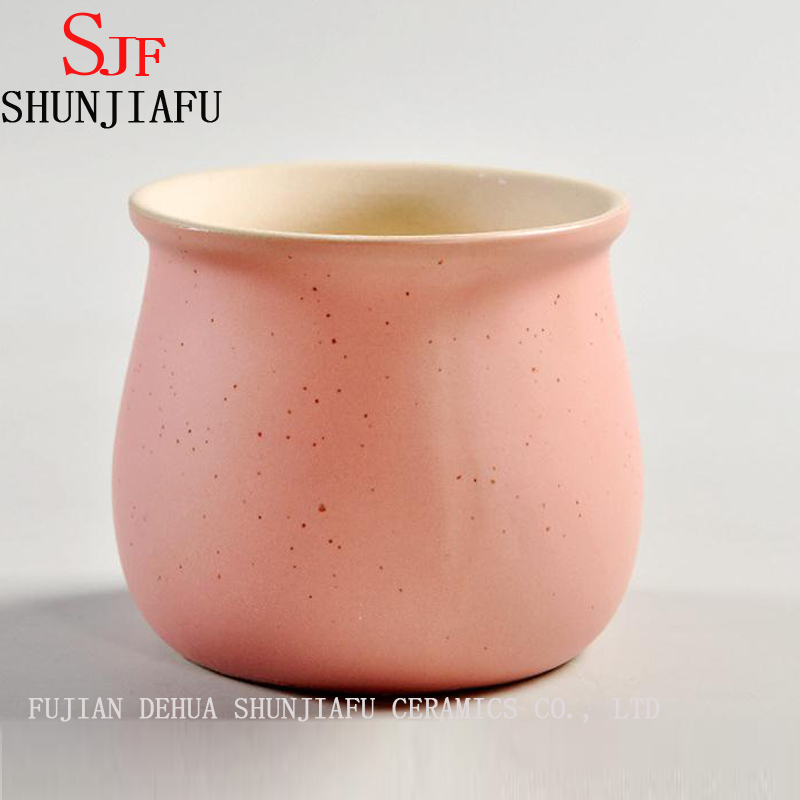 Ceramic Macaron Color Fleshy Plant Small Pots Flowerpot