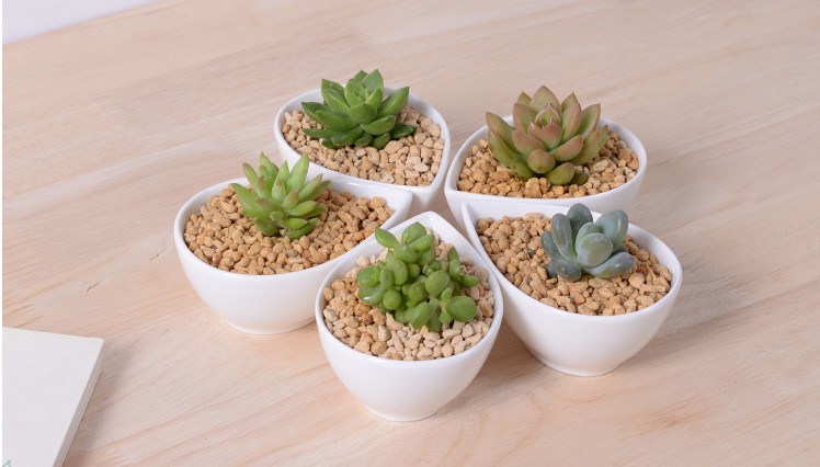 Adornment Characteristic Personality Desktop Small White Flowers Pot