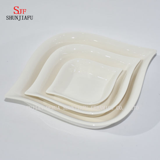 Different Shapes. White Porcelain Dinnerware Service Plate Sauce Dish
