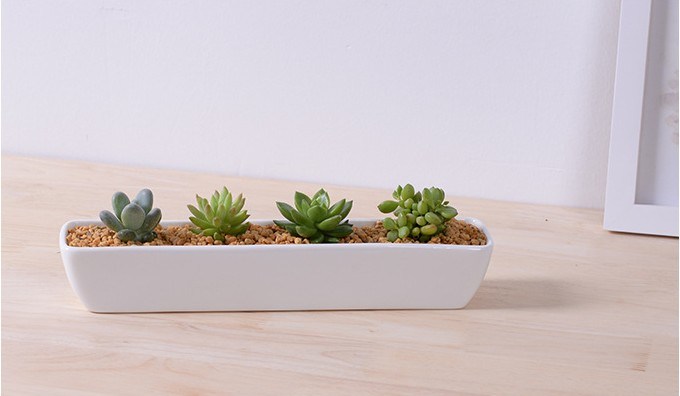 Ceramic Square White Flowerpot