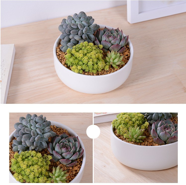 Square White Flower Pot Containing Base